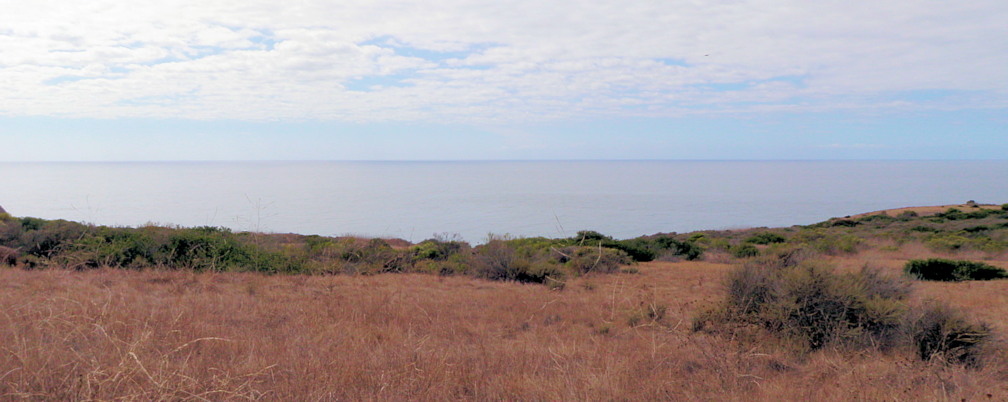 crystal cove SP, CA